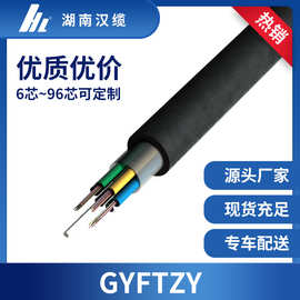 12芯GYFTZY光缆非金属阻燃光缆 GYFTZY-12B1工厂在线报价现货供应
