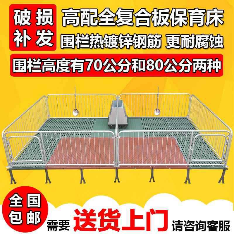 仔猪保育床围栏复合漏粪板带电热板小猪保育栏猪床母猪产床定位栏