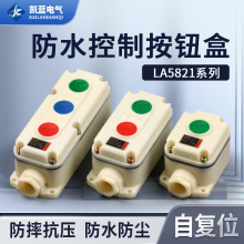 厂家直供  LA5821-2 自复位防腐控制按钮 按钮开关盒 2位