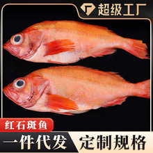 �tʯ���~2��/�l�r�������t�~�����~�S���~�ك����rˮ�a�������l