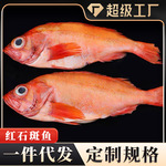 ��ʯ����2��/���ʻ��䶳�����౦��ƻ����ٶ�����ˮ����������