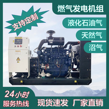 ����˹�Ӛ�l늙Cȼ��l늙C�M250KW1000ǧ�������Ȼ�����