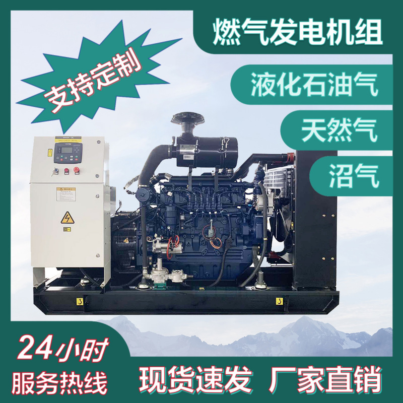 500KW 600kW ガス発電機セット 天然ガス発電機セット ガス発電所 CHP|undefined