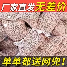 пʯӢ~^Vˮ{׼մɃˮV