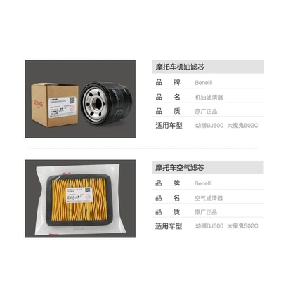 Benelli lion cub BJ500-E-6B-6A Air filter