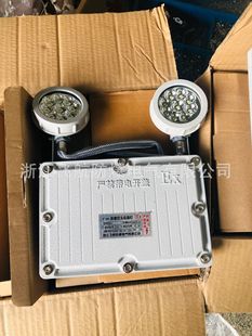 Explosion-proof emergency sign light emergency light type a DC36V intelligent fire emergency light