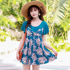 Women's Plus Size Fashion Print Swimsuit for Hiding Fat, Slimming Hot Spring Vacation Swimwear Manufacturer Wholesale