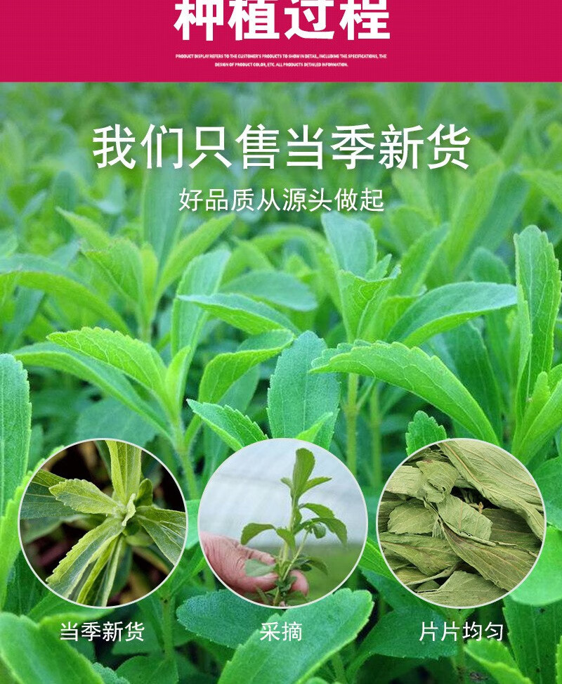 Stevia Leaf Tea 500g Natural Dried Sweet Herb Tian Ye Ju Sugar Free Herbal Infusion specifications