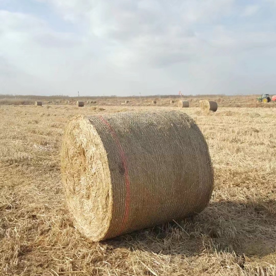 PE捆草网编织袋塑料拉丝机 遮阳网防尘网草坪丝