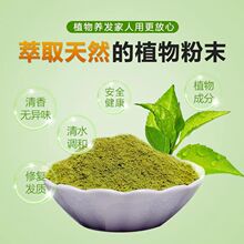 ֲ�ﺣ�ȷ�ӡ�ؖ���B�l�ۺ��{��ɢĭ��ֲ�ﻨ���P�ɻ������w�װl