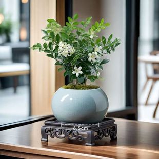 _ˮ߀㡿ˮǧ LС辰҃ȿ͏dļGֲ