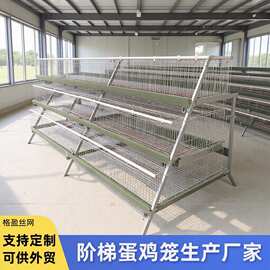 蛋鸡阶梯型鸡笼多层立体笼养殖蛋鸡养殖出口鸡笼子chicken cages