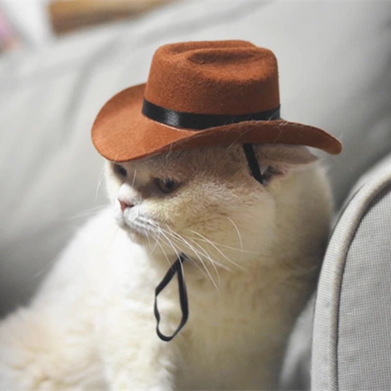 Pet Western Cowboy sombrero cool cool pet gato perro tocado vaquero muy ocupado tomando fotos lindos sombreros de vaquero