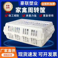 Du\ݔ\u\\\ݔDռ{_THDPE