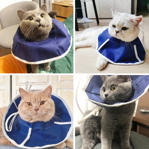 Elizabethan collar cat collar neck cat pet dog headgear anti-biting and anti-licking shame circle supplies after sterilization