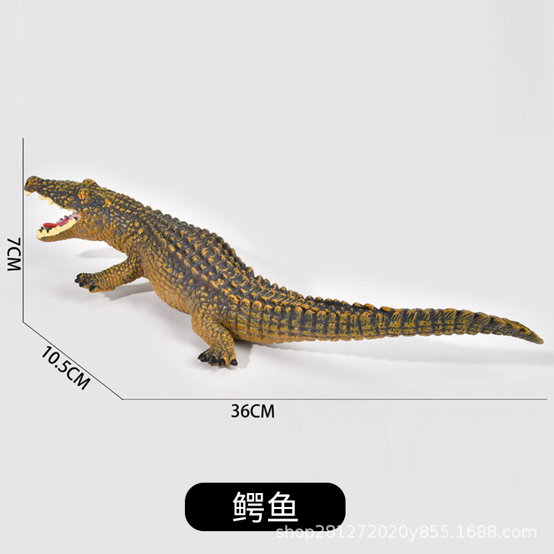 중형 악어 [소프트]