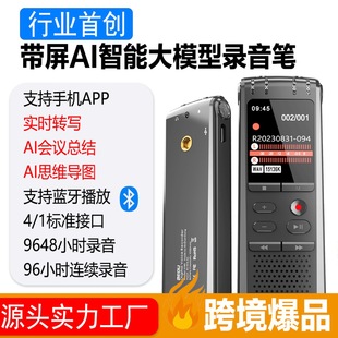 Ai Intelligent Voice Transcription Meeting Summary Recorder with Color Screen, Noise Reduction Recording Device