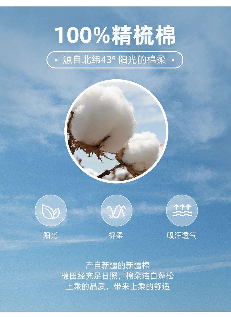 79000_05.jpg