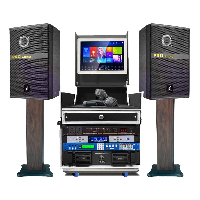 Mayorista 12 / 15 pulgadas altavoces profesionales del escenario amplificador de efectos de micrófono de música al aire libre K-canción conjunto de sonido