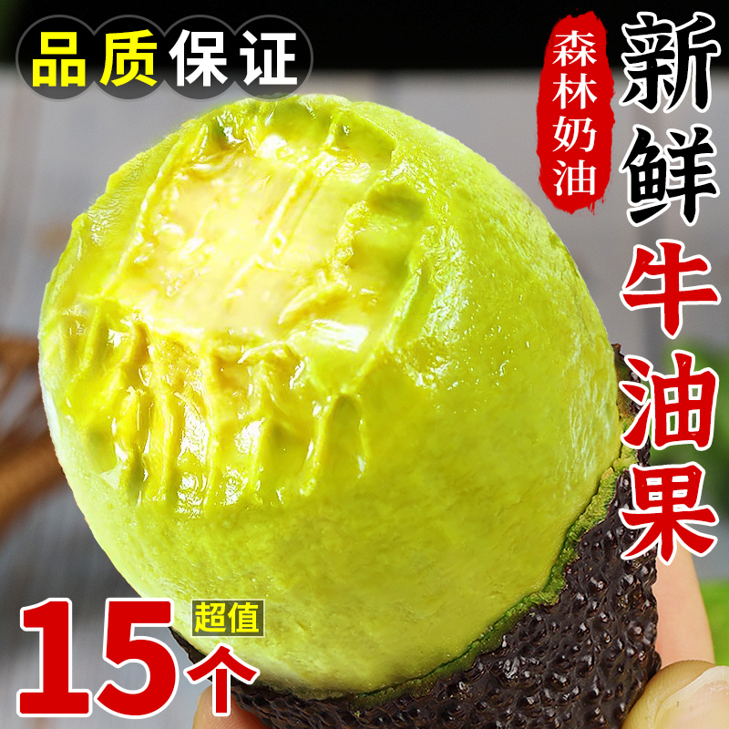 【Wholesale All Year】Yunnan Hass Avocado Direct Delivery Giant Avocado Cream Fruit Seasonal Fresh Fruit