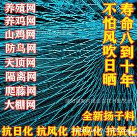 家禽养殖网山鸡网养鸡网尼龙网拦鸡围网防鸟网护栏网球场网爬藤网