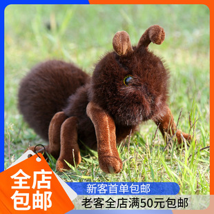 �ɐ�Λρ��ż�羳ë�q���Λρ���в����ރ�ͯ����Ů�����նY��