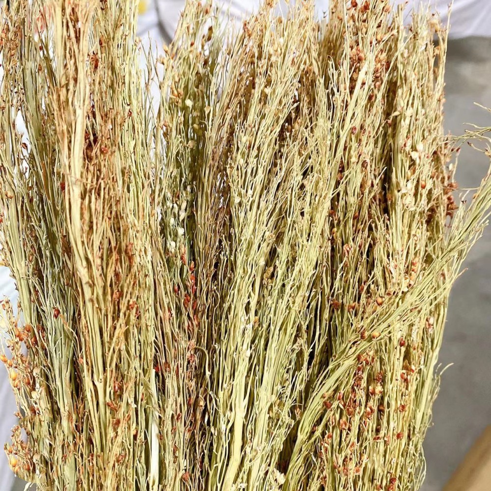 Planta natural hecha a mano broomcorn cepillo broomcorn oído cepillo olla lavado olla cepillo cocina limpieza antiadherente aceite Departamento tienda