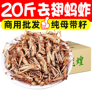 ���r�����ĸȥ�����Λ���w���x�������x����ʳ����ʳ�������l