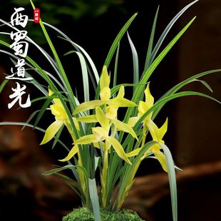 ��Ʒ�����m�����S������������F�m�ݻ����玧����