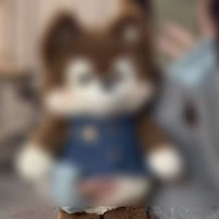 ���¹�ʿ��С�����С�ܿɐ�؈��ë�q��߹��й�ʿ����ż������