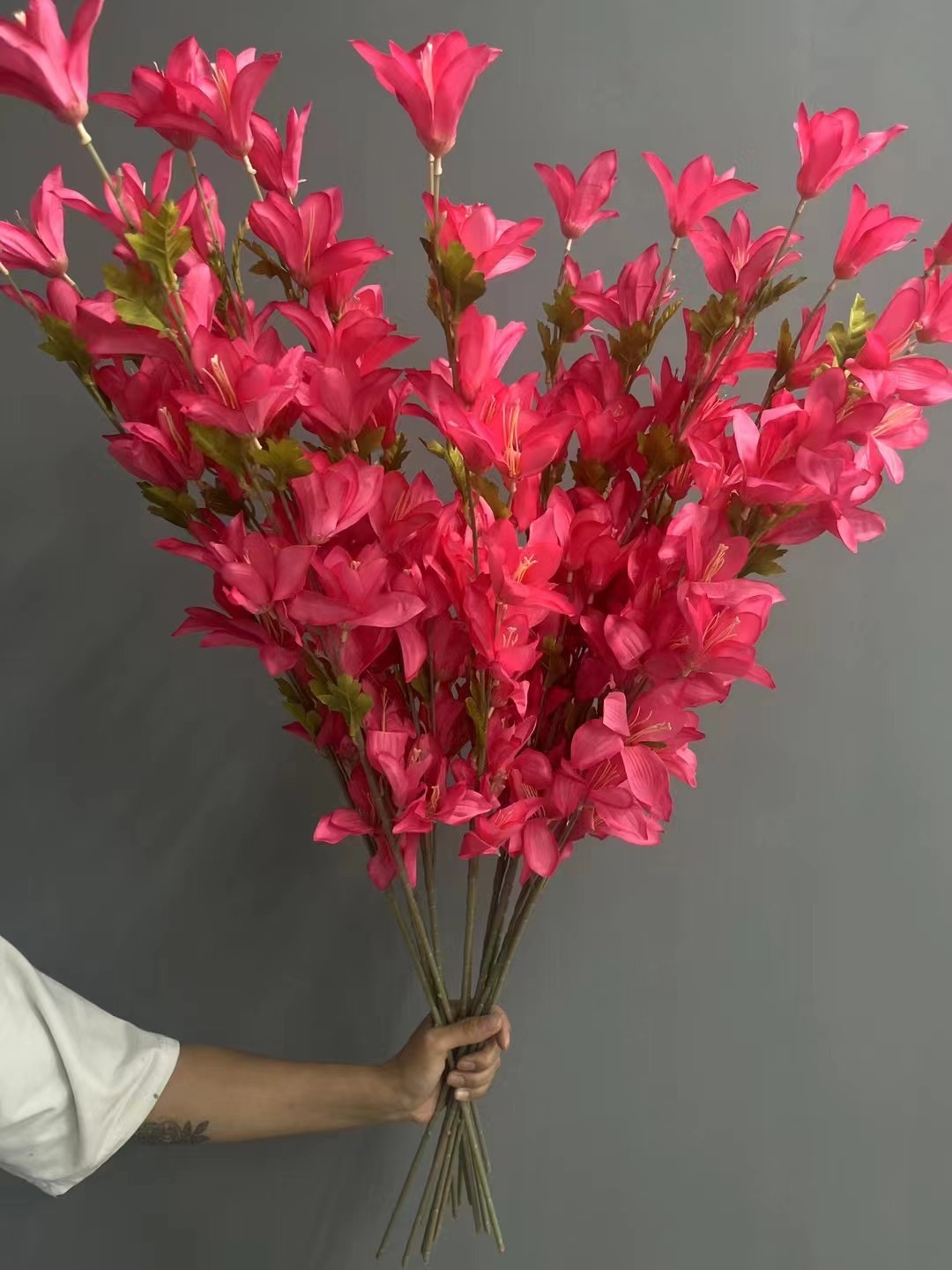 微信图片_20231012163557