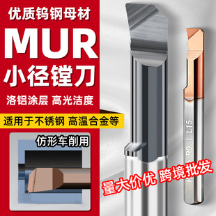 �羳���P�С���M�׵�MUR���؃ȿ�܇�����w�Ͻ��u�С���U���l