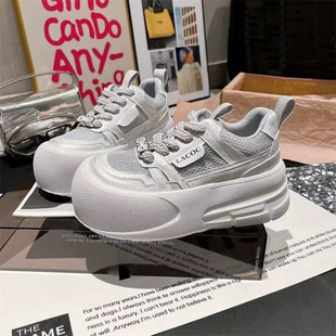 2026�Ŀ�͸�������eС��Ь���p��Ь���QŮЬ���ߺ�״��^���Ь