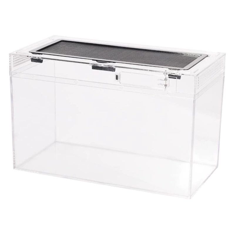 Рептилия стеклянный резервуар ползание домашнее животное охранник ящерица многоножка паук скорпион черепаха рогатая лягушка отшельник Краб рептилия коробка для кормления