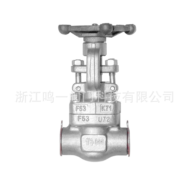 双相不锈钢S32205F515355耐强腐蚀锻钢锻造承插焊对焊限流孔闸阀