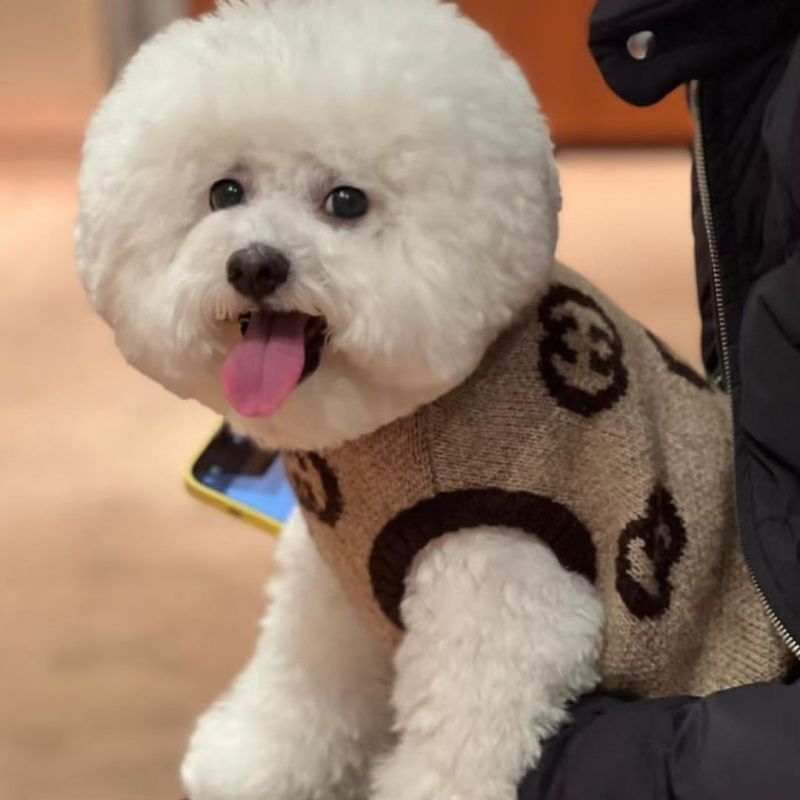 유행 애완 동물 니트 슈나우저 작은 팬더 두꺼운 스웨터 인터넷 연예인 가을, 겨울 개 옷