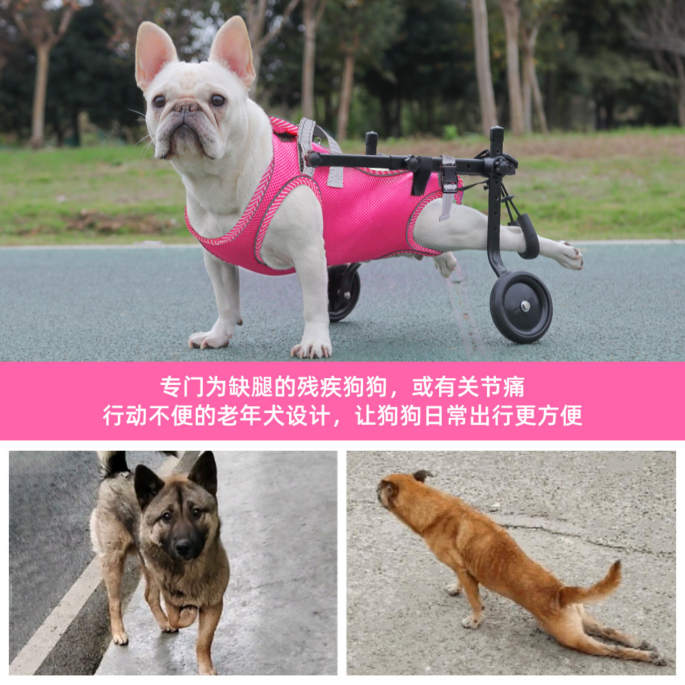 Cross-border popular mascota correa auxiliar perro anciano perro discapacitado mascota caminando correa de pecho correa de perro ajustable