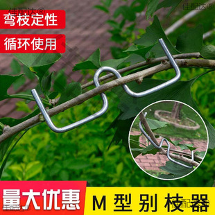 ���䉺֦�����@������{��֦�����ͻ����¼������_�Ǆe֦������ֱ