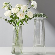 嘉欲两件套浮雕ins玻璃花瓶大号透明水养富贵竹客厅家用插花摆件