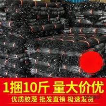 ���B���������z���z�K�������������K��������ɽ�Ď�������̫��