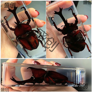 ���挍��֬���x�˱����x���x֩���@����ţϐ�������������˱��[