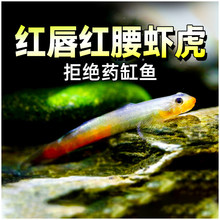 �촽����Ϻ���� ԭ������С�͵�ˮ��ˮ��׳����y������