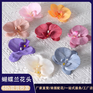 zƬm^9cm^lA滨diyֹcb