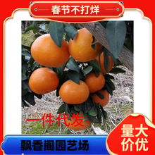 ���lɰ���ٴ�Ƥ��۽��Ә������Ե����̨ͥԺ�ļ��Nֲ�ϱ�������