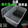 Increase a small white breeding box+dodge