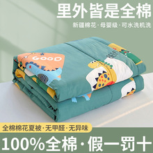 100%全棉夏凉被双面纯棉空调被薄被子单双人被子夏季儿童可水机洗