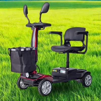Transport Children and for Grocery Shopping — Qatlanan elektrik velosipedlər