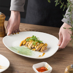 Creative alien plate irregular Western dinner plate household ceramic serving plate hotel restaurant artistic presentation hand-painted shallow plate