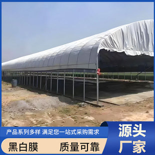 Black and White Film Manufacturer Spot Plastic Film Weeding Insulation Moisturizing Vegetable Special Wholesale Black and White Film Breeding Film