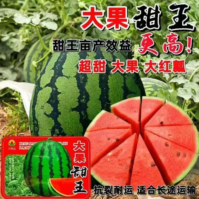 Семена арбуза Sweet King, очень крупные, высокоурожайные, супер сладкие, семена ленивого гигантского арбуза, семена фруктов и овощей, посаженные в любое время весной.